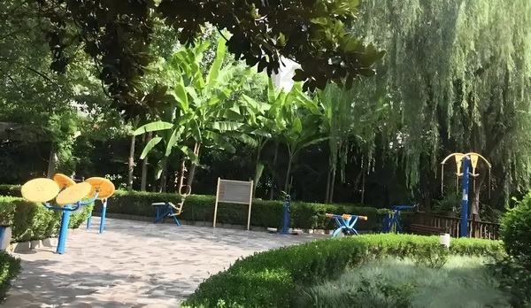 深圳迁户地址_《南京照相馆》很好,能爆! 南京照相馆人也苦越痛